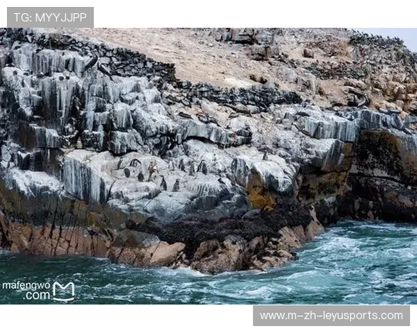 利马在战术调整分析方面引发关注